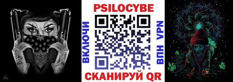 Галлюциногенные грибы Psilocybe  Геленджик 